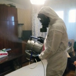 Дезинфекция от клопов в Богдановиче