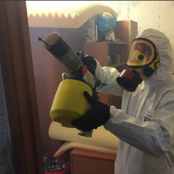 Уничтожение клопов в квартире. Богданович